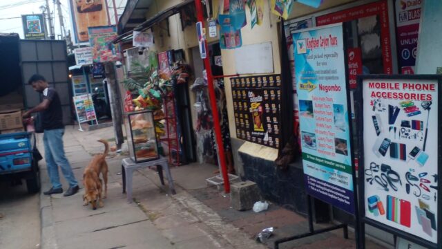 IMG-20250304-WA0155-1