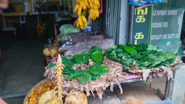 WhatsApp-Image-2025-04-29-at-1.12.14-PM-1